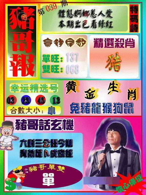 039期猪哥报[图]